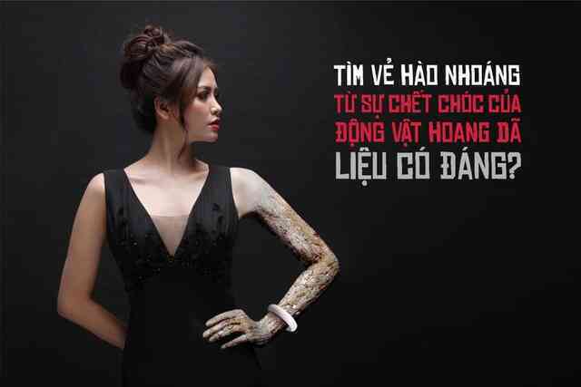 Sử dụng trang sức từ động vật hoang dã trái phép, đừng để thấy hậu quả mới biết từ chối