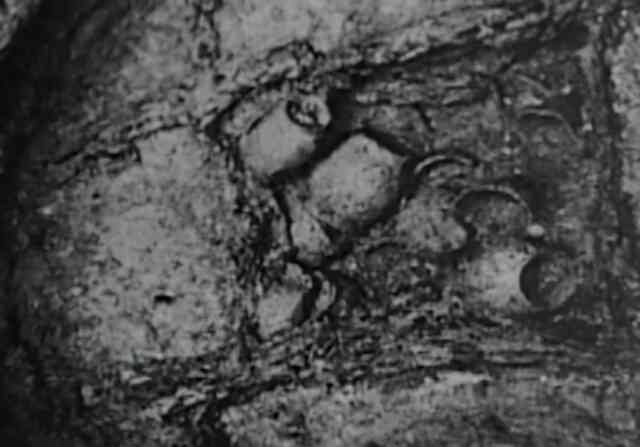 Bí ẩn di tích văn hóa nhỏ 2 cm cách đây 5.400 năm