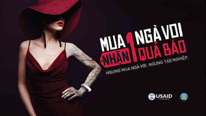 Tổ chức Mỹ kêu gọi 