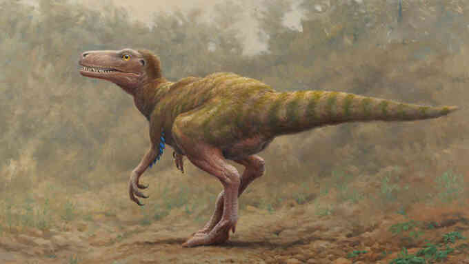 Phát hiện hóa thạch khủng long đầu tiên trên đảo Ireland
