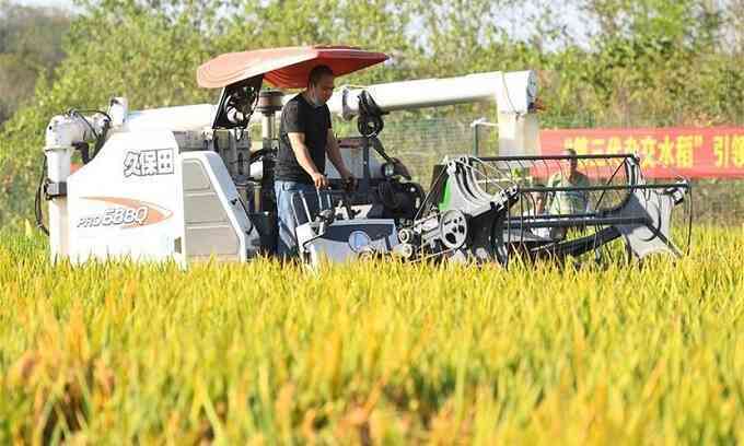Giống lúa lai Trung Quốc cho năng suất cao kỷ lục