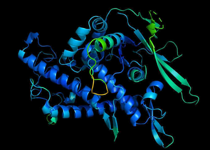 AI giải quyết thách thức phát hiện cấu trúc protein
