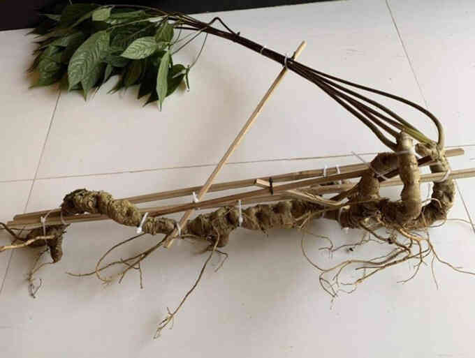 Chương trình phát triển tài sản trí tuệ đến năm 2030