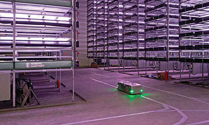 Đan Mạch ra mắt nông trại thẳng đứng rộng 7.000 m2