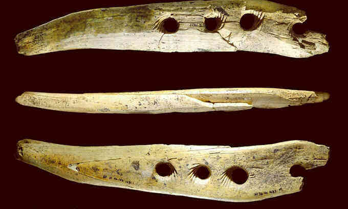 Công cụ 40.000 năm tuổi bằng ngà voi ma mút