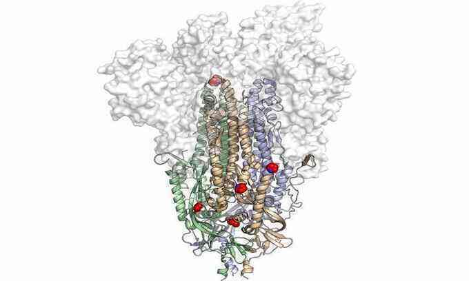 Biến đổi protein giúp sản xuất hàng tỷ liều vaccine Covid-19