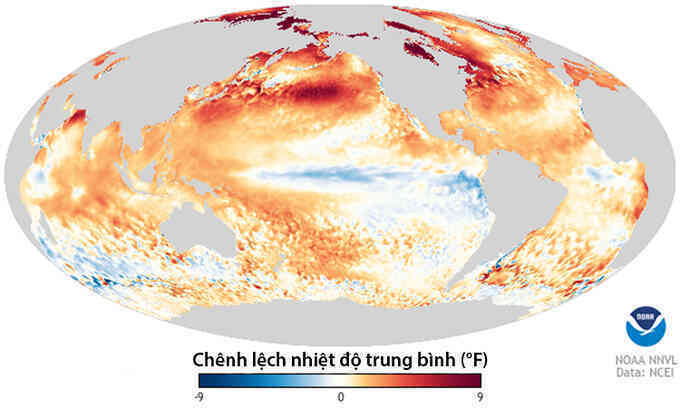 Tháng 8 năm nay nóng nhất lịch sử Bắc bán cầu