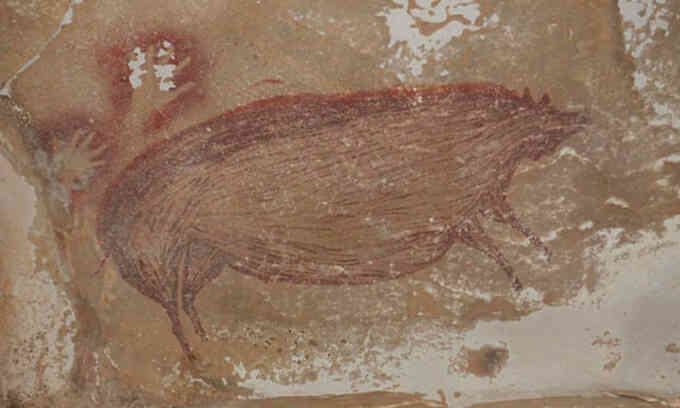 Tranh vẽ lợn hoang trên đá 45.500 năm tuổi