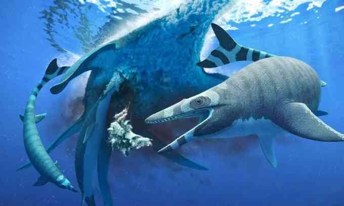Hóa thạch thương long có bộ răng giống cá mập