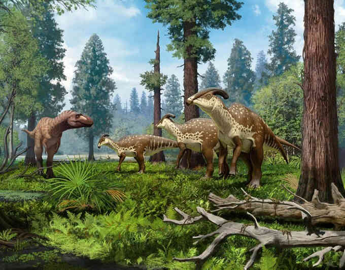 Phát hiện hộp sọ khủng long mào ống đầu tiên sau 97 năm