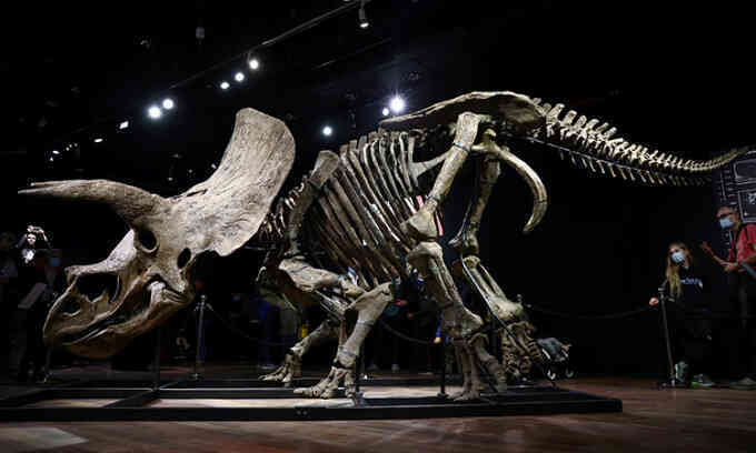 Hóa thạch khủng long được đấu giá 7,7 triệu đô