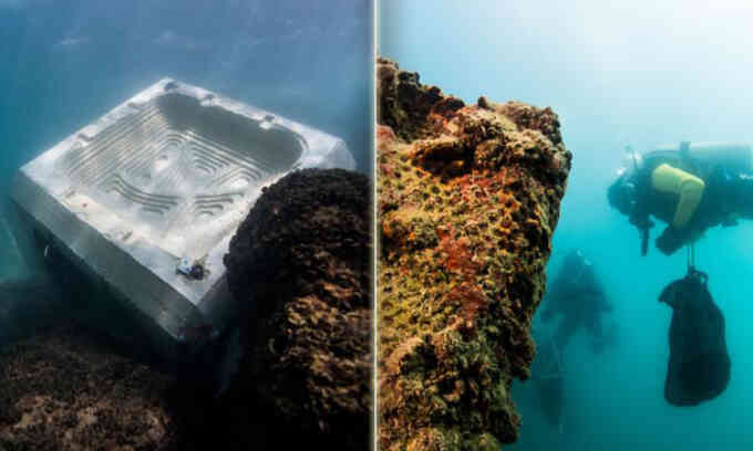 Bê tông tăng độ bền khi nuôi sinh vật biển