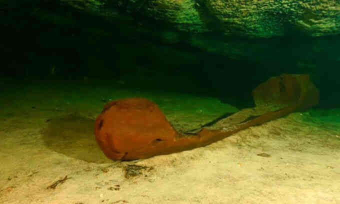 Phát hiện xuồng gỗ 1.000 năm chìm dưới đáy sông