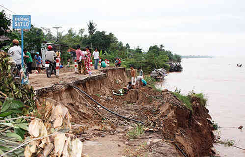 Nhà khoa học dùng phần mềm 