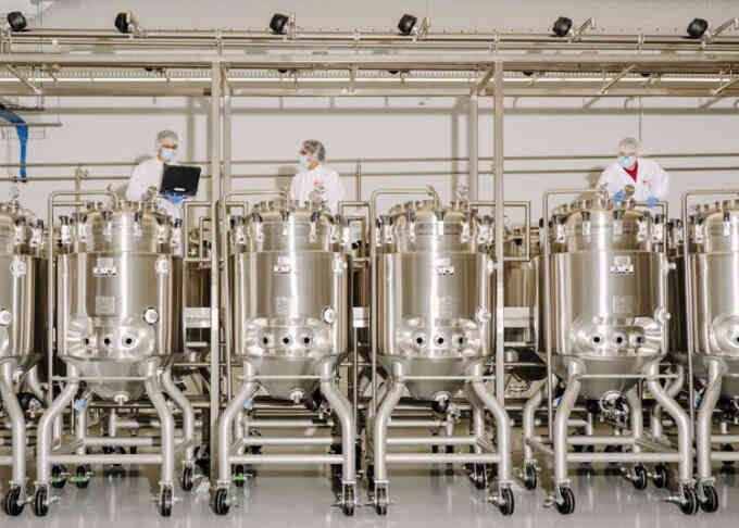 Nhà máy sản xuất 22.600 kg thịt nhân tạo mỗi năm