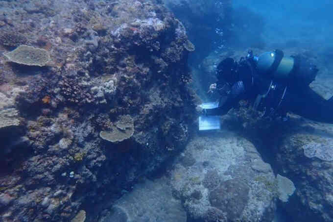 Rạn san hô Tây Ấn Độ Dương có nguy cơ sụp đổ