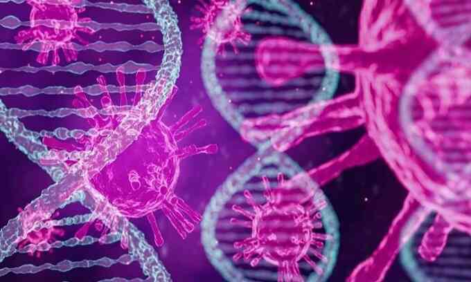 Virus corona cổ đại lan khắp Đông Á 25.000 năm trước