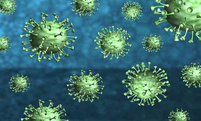 Virus corona mới có thể truyền từ chó sang người