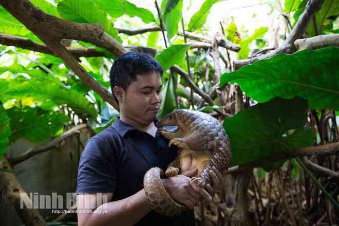 Nhà bảo tồn người Việt đoạt giải thưởng môi trường danh giá nhất thế giới