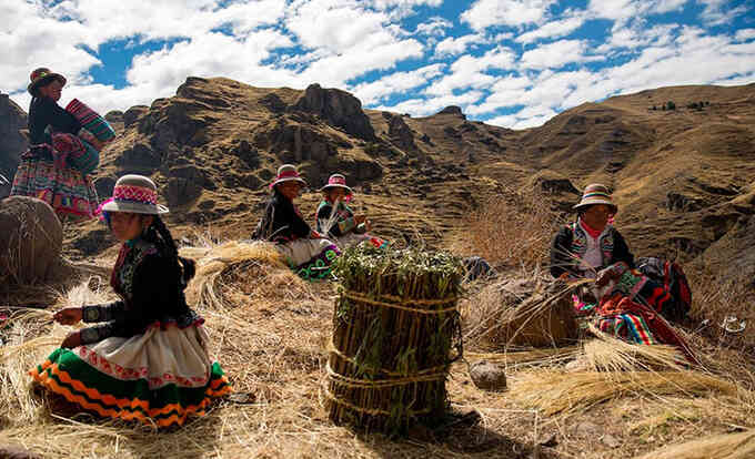 Khôi phục cầu dây 500 năm tuổi của người Inca