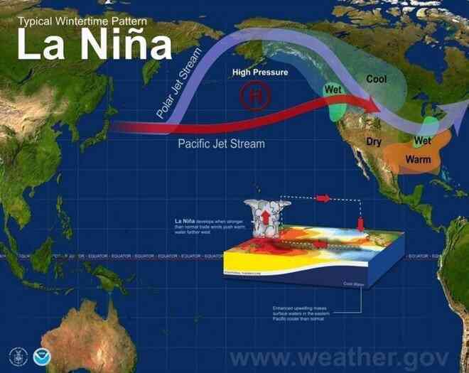 Thế giới đang bị đe dọa bởi nắng nóng cực đoan, nguyên nhân tại sao? - 4