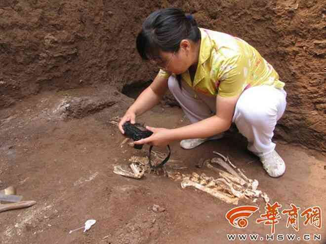 Giống loài "chưa từng được biết đến" trong lăng mộ bà nội Tần Thủy Hoàng