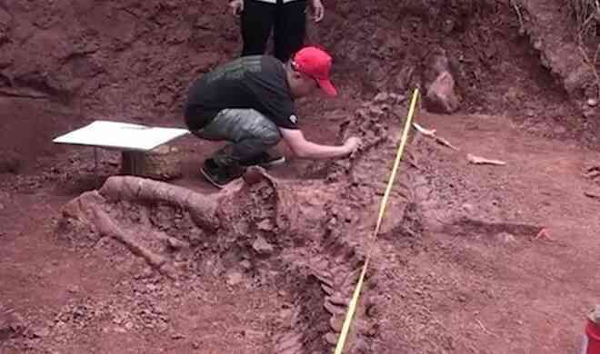 Hóa thạch khủng long khổng lồ, được coi là 'báu vật quốc gia' ở Trung Quốc