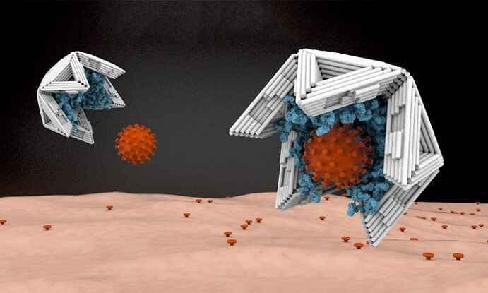 'Bẫy' kích thước nano vô hiệu hóa virus truyền nhiễm