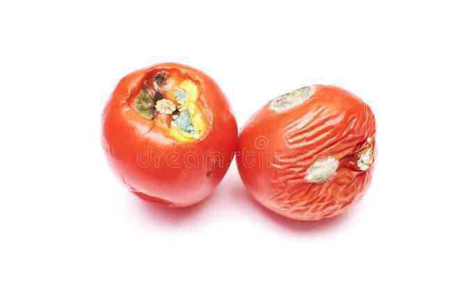 Mẹo dùng áp suất nước tạo chân không, giúp giữ đồ ăn tươi lâu nhất có thể - 2
