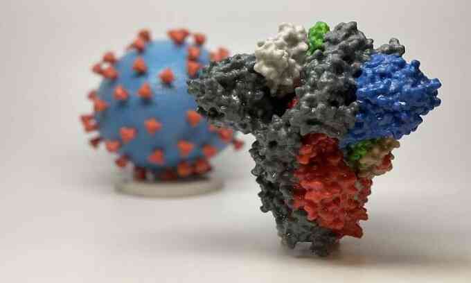 Dùng nCoV giả để tiêu diệt virus thật