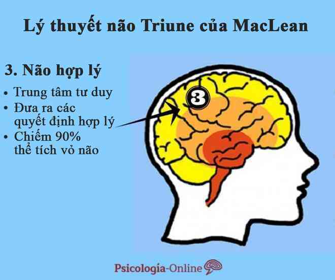 Tìm hiểu lý thuyết 3 não, ví não người với não bò sát, não thú... - 3