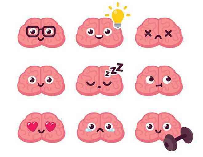 Tìm hiểu lý thuyết 3 não, ví não người với não bò sát, não thú... - 4
