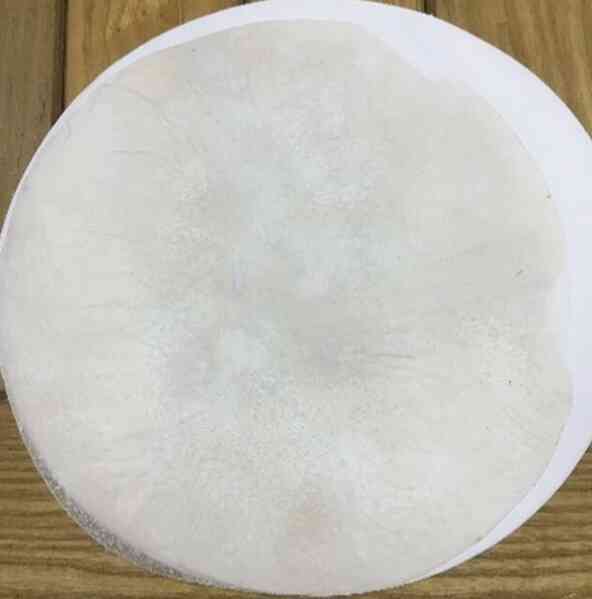Sinh viên chế tạo vật liệu tự hủy sản xuất đồ bảo hộ y tế