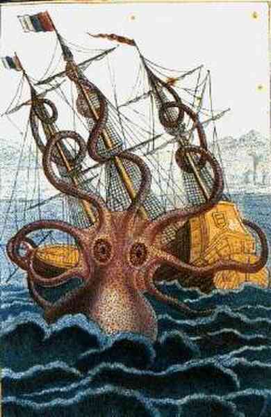 Những điều chưa biết về quái vật Kraken bí ẩn - 3