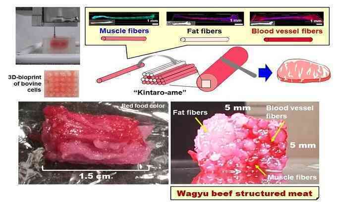 Thịt bò Wagyu in 3D đầu tiên trên thế giới
