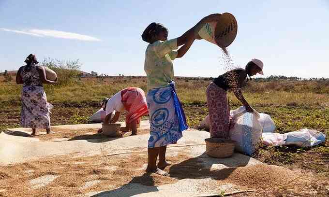 Người dân Madagascar hứng chịu nạn đói do biến đổi khí hậu