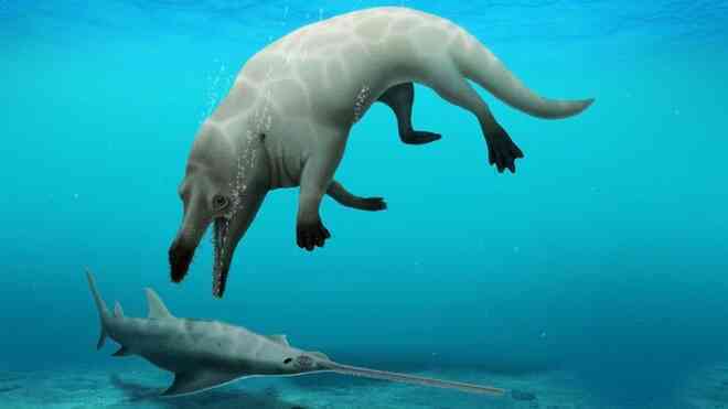 Phát hiện cá voi 4 chân ở Ai Cập, hung dữ như khủng long