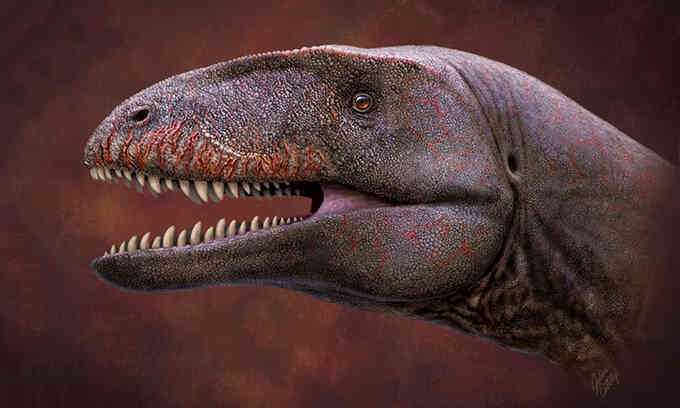 Phát hiện loài khủng long sát thủ lớn ngang T-rex