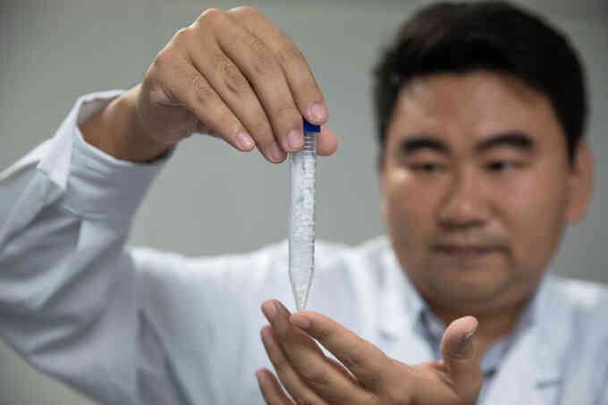Trung Quốc tổng hợp tinh bột trong phòng thí nghiệm
