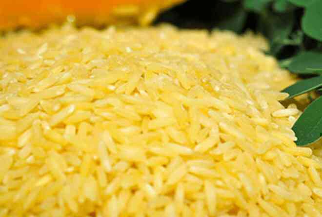 Gạo vàng biến đổi gen ở Philippines có gì đặc biệt, tính an toàn ra sao? - 3