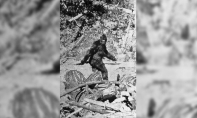 Quái vật Bigfoot có thật không?