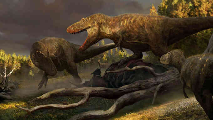 Hóa thạch 76,5 triệu năm tiết lộ tổ tiên của T-rex