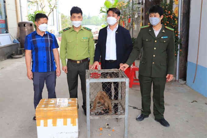 Giao nộp khỉ và trăn quý hiếm