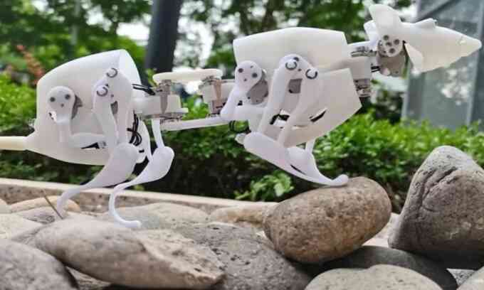 Chuột robot tìm người sống sót ở vùng thiên tai