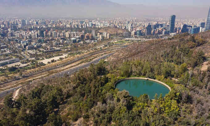 Chile loại bỏ thảm thực vật lạ để chống hạn hạn