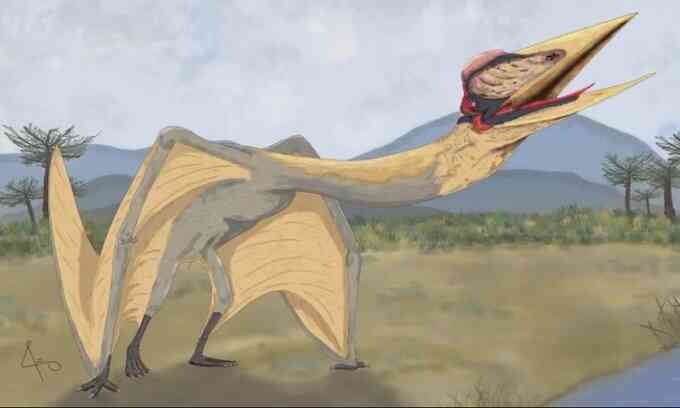 Hóa thạch rồng tử thần có sải cánh 9 m