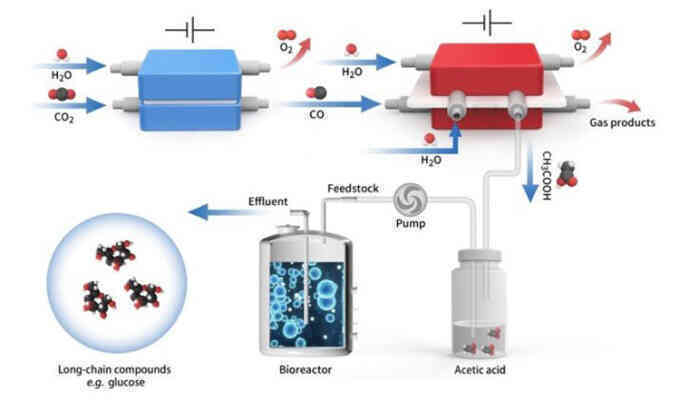 Tiềm năng tổng hợp thuốc và thức ăn nhân tạo từ CO2