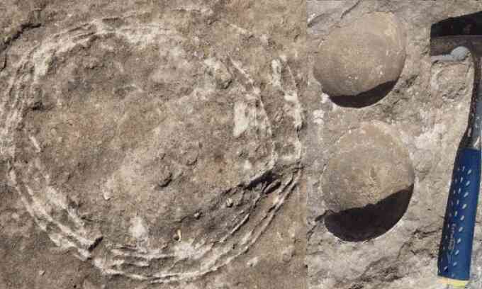 Lần đầu tiên phát hiện hóa thạch trứng trong trứng khủng long