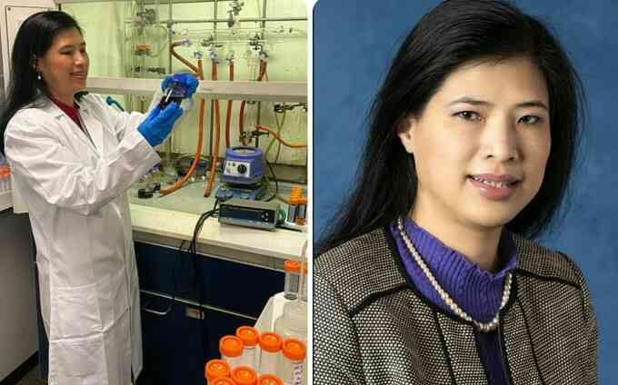 Giáo sư người Việt được Hiệp hội Hóa học Hoàng gia Anh vinh danh
