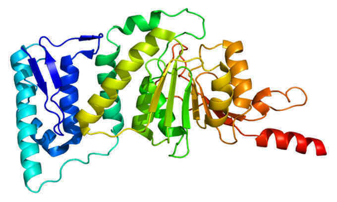 Xác định enzyme giúp sản xuất tinh trùng suốt đời